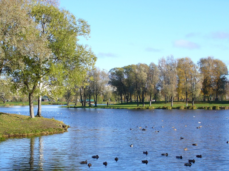 Муринский парк в санкт петербурге фото